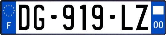 DG-919-LZ