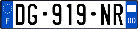 DG-919-NR