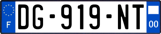 DG-919-NT