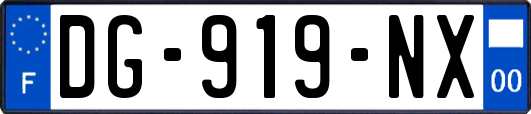 DG-919-NX