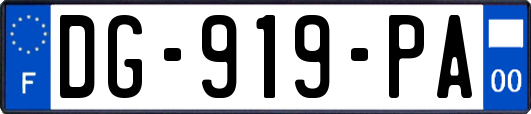 DG-919-PA