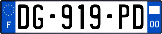 DG-919-PD
