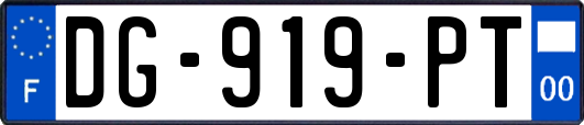 DG-919-PT