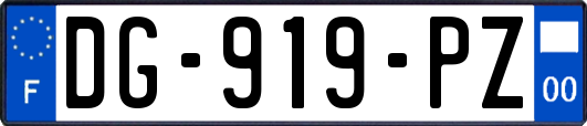 DG-919-PZ