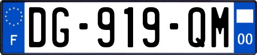 DG-919-QM