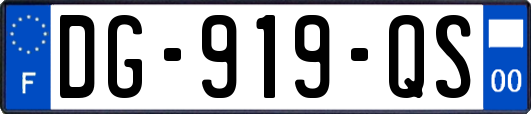 DG-919-QS