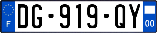 DG-919-QY