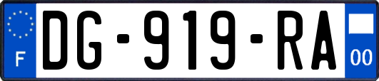 DG-919-RA