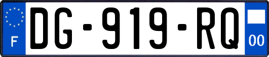 DG-919-RQ