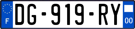 DG-919-RY