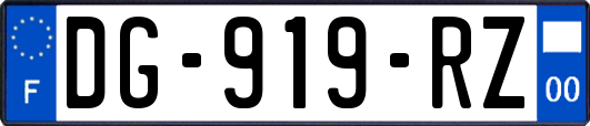DG-919-RZ