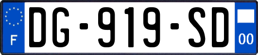 DG-919-SD