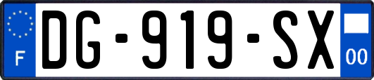 DG-919-SX