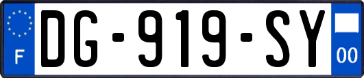 DG-919-SY