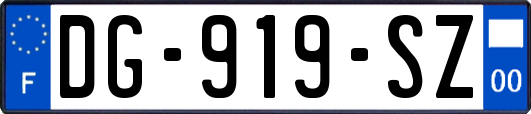 DG-919-SZ