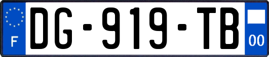 DG-919-TB