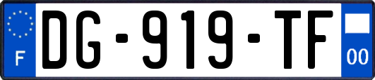 DG-919-TF