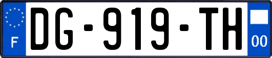 DG-919-TH