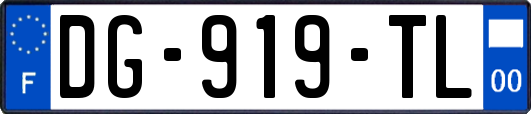 DG-919-TL