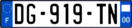DG-919-TN