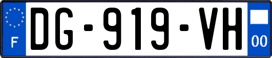 DG-919-VH
