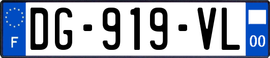 DG-919-VL
