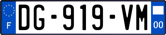 DG-919-VM