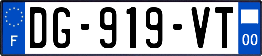 DG-919-VT