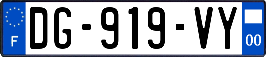 DG-919-VY