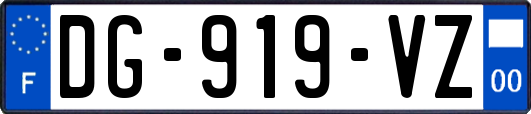 DG-919-VZ