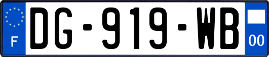DG-919-WB