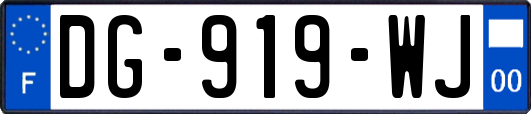 DG-919-WJ