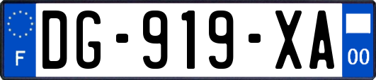 DG-919-XA