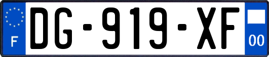DG-919-XF