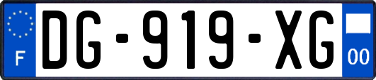 DG-919-XG