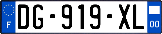 DG-919-XL