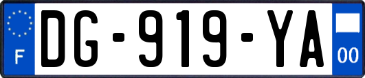 DG-919-YA
