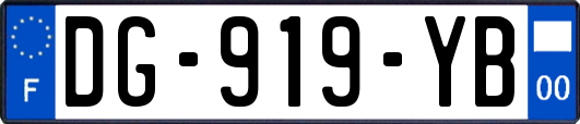 DG-919-YB