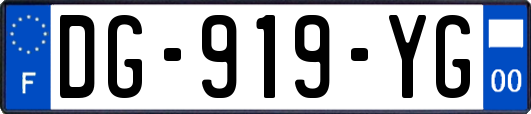 DG-919-YG