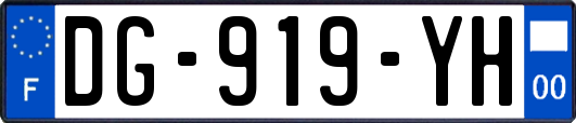DG-919-YH