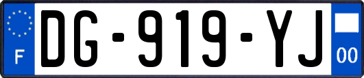 DG-919-YJ
