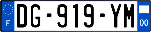 DG-919-YM