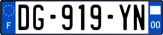 DG-919-YN