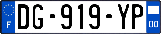 DG-919-YP