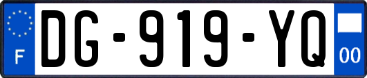 DG-919-YQ
