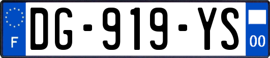 DG-919-YS