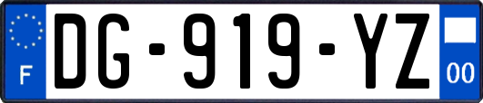 DG-919-YZ