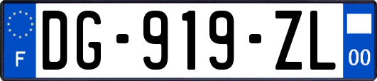 DG-919-ZL