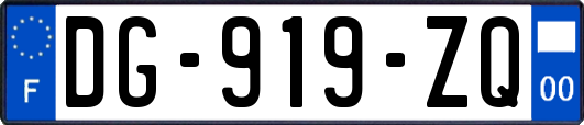 DG-919-ZQ