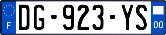 DG-923-YS